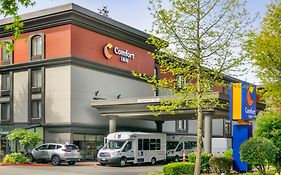 Comfort Inn Seatac